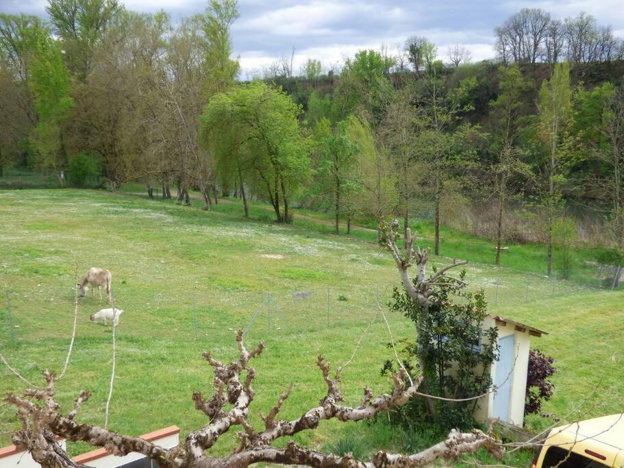 Gite O Fil Du Tarn Lescure-dʼAlbigeois Exterior foto